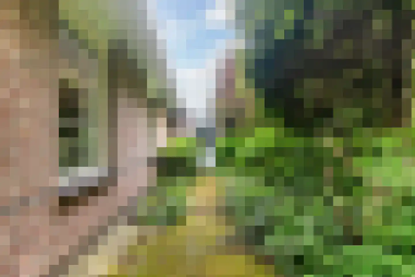 Dooitzen de Bildtstraat 7 St.-Jacobiparochie thumbnail 37