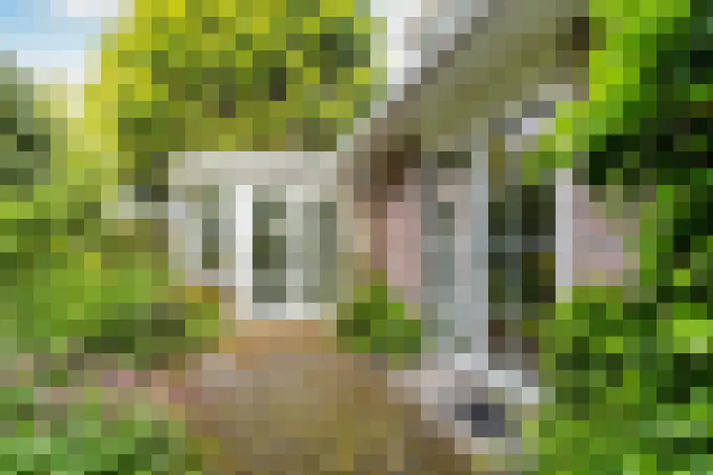 Dooitzen de Bildtstraat 7 St.-Jacobiparochie thumbnail 4
