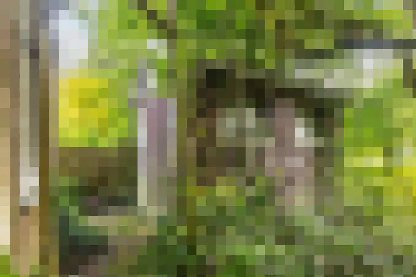 Dooitzen de Bildtstraat 7 St.-Jacobiparochie thumbnail 40