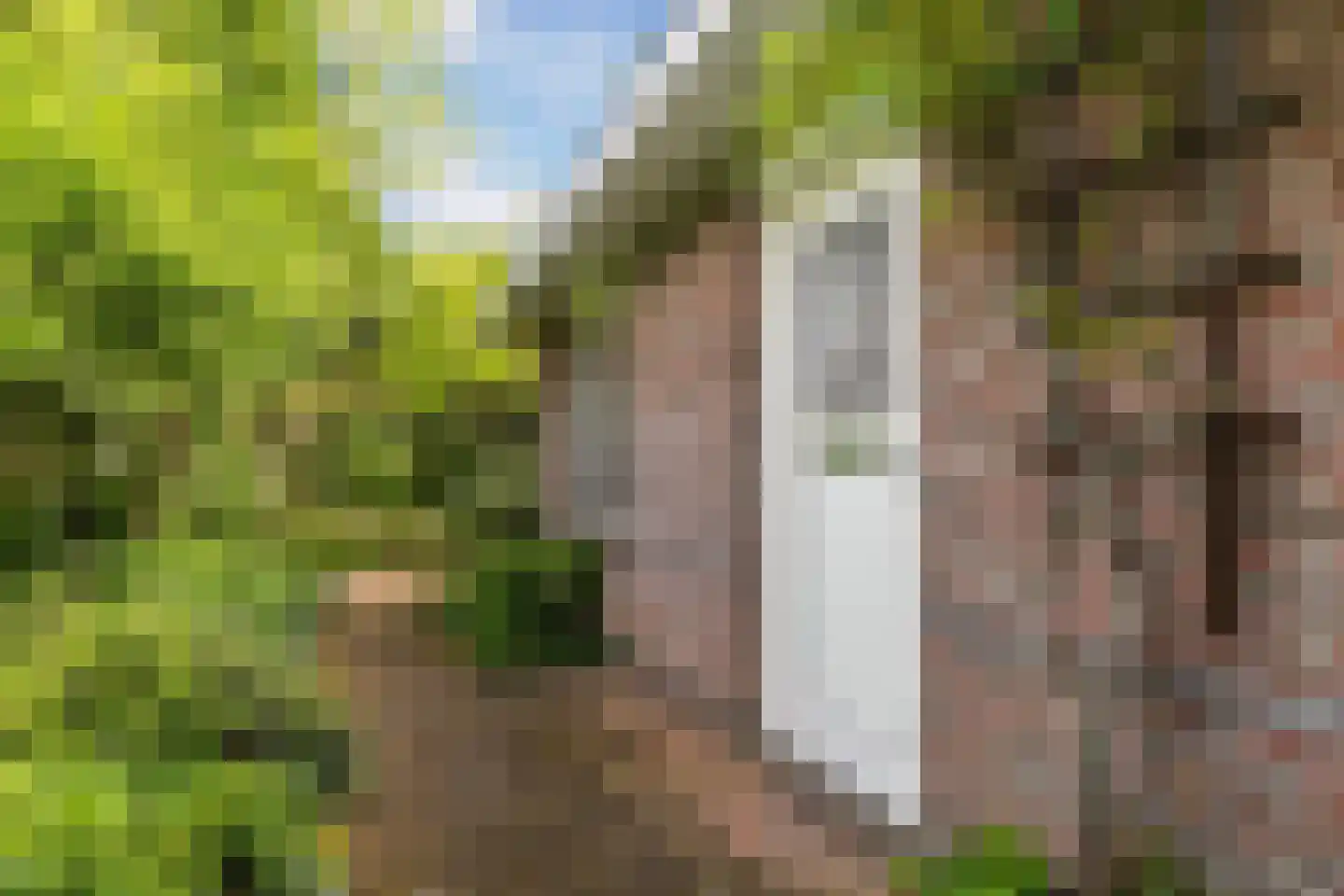 Dooitzen de Bildtstraat 7 St.-Jacobiparochie thumbnail 6
