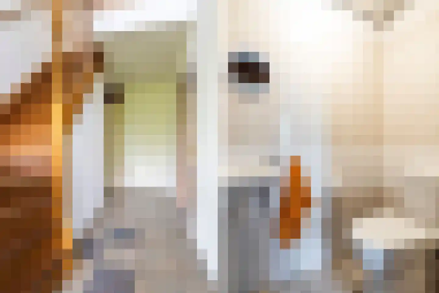 Dooitzen de Bildtstraat 7 St.-Jacobiparochie thumbnail 9