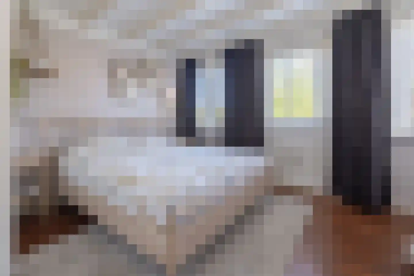 Dooiweg 3 Amerongen thumbnail 21