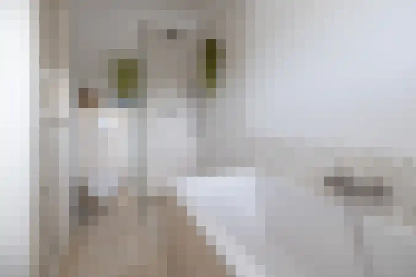 Dooiweg 3 Amerongen thumbnail 28