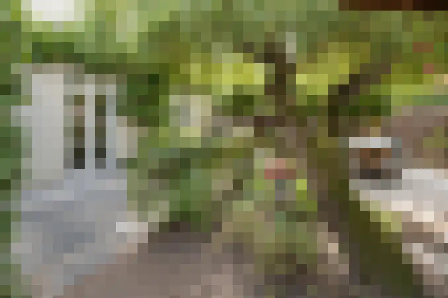Dooiweg 3 Amerongen thumbnail 31