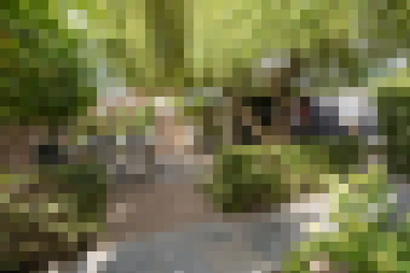 Dooiweg 3 Amerongen thumbnail 32