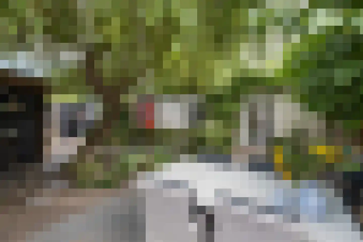 Dooiweg 3 Amerongen thumbnail 33