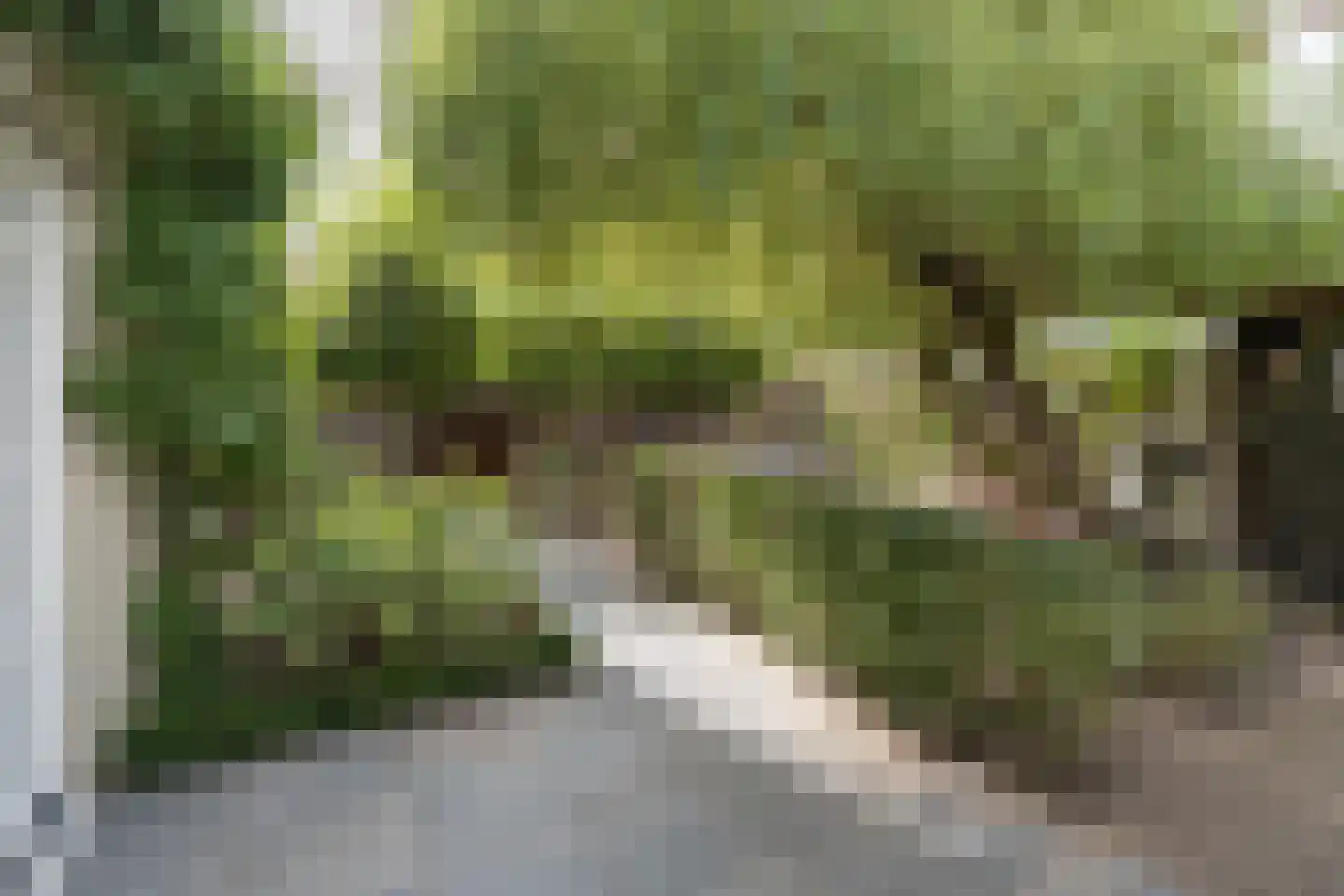 Dooiweg 3 Amerongen thumbnail 34
