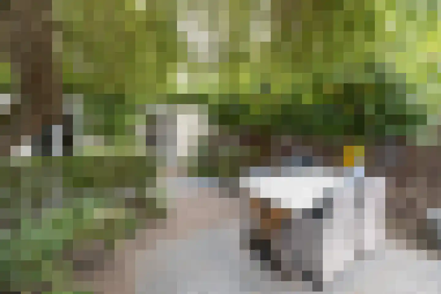 Dooiweg 3 Amerongen thumbnail 39