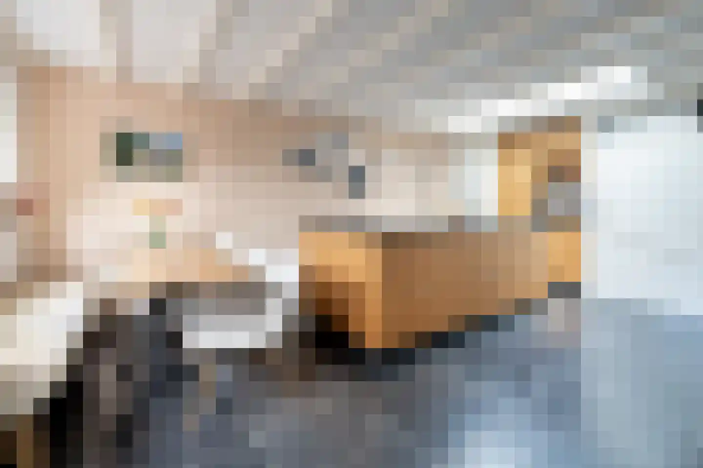 Dooiweg 3 Amerongen thumbnail 4