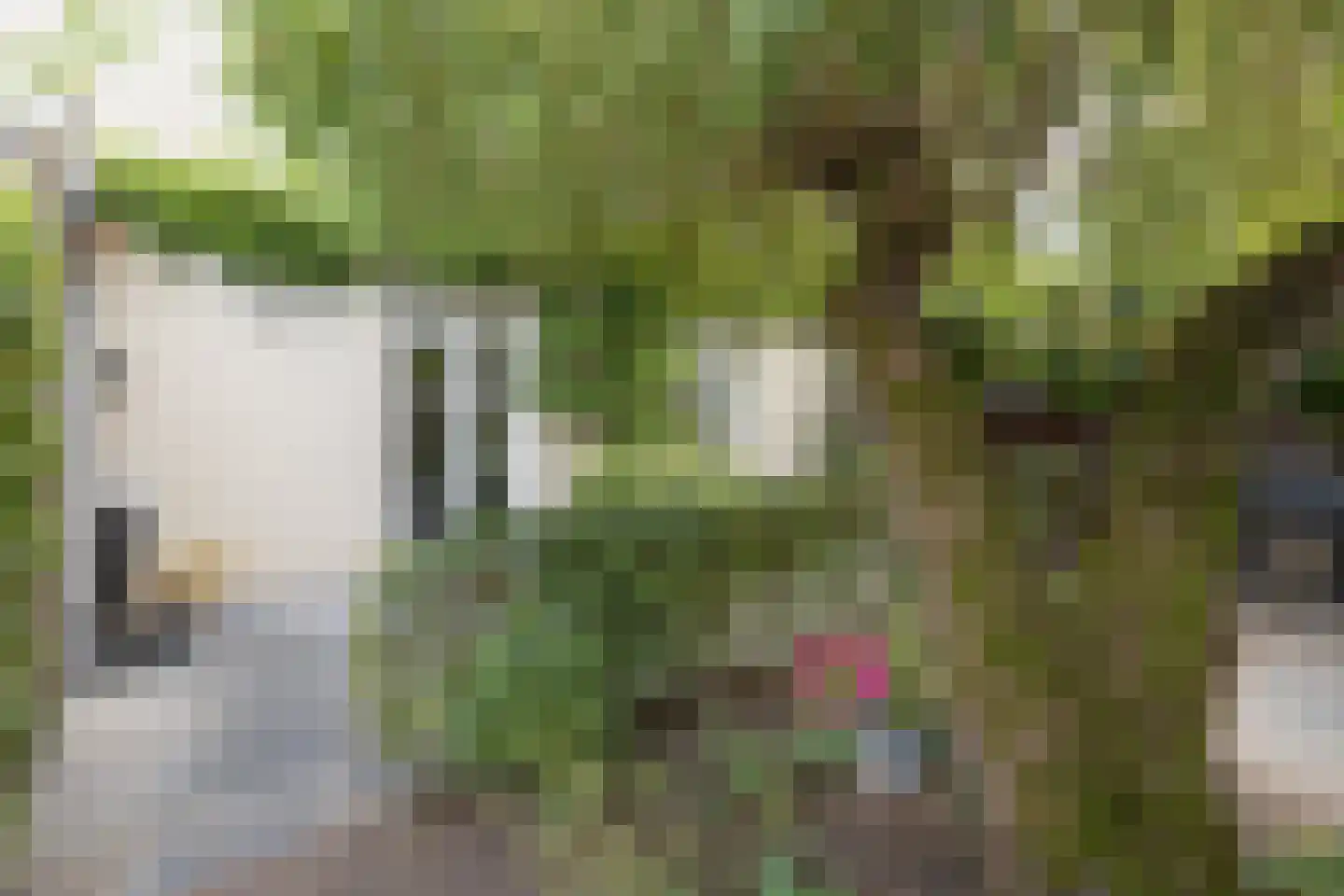 Dooiweg 3 Amerongen thumbnail 40