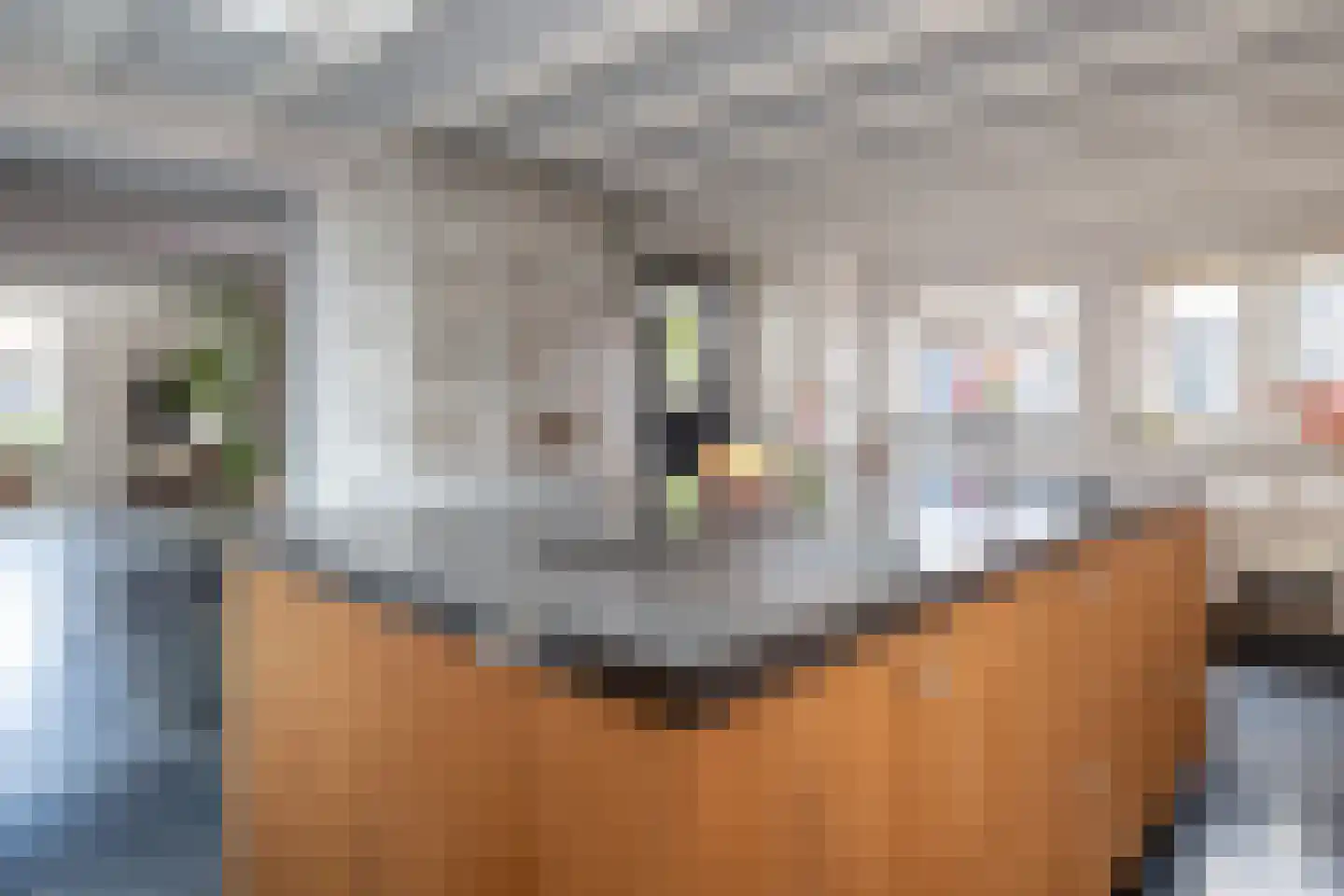 Dooiweg 3 Amerongen thumbnail 7