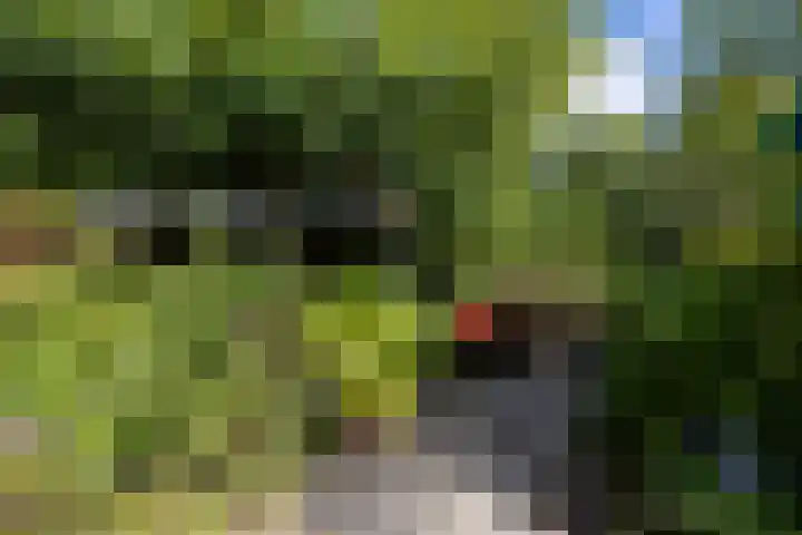 Dooiweg 7 a Amerongen thumbnail 35