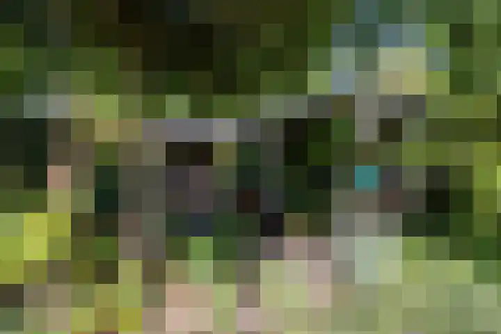 Dooiweg 7 a Amerongen thumbnail 36