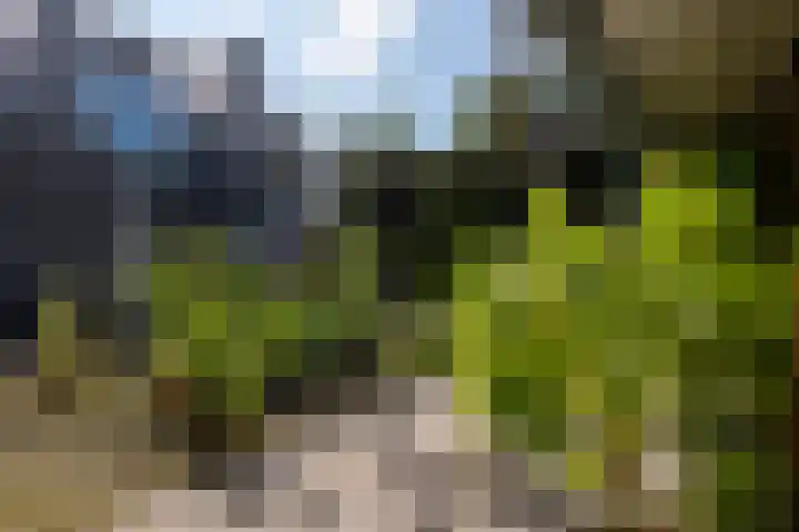 Dooiweg 7 a Amerongen thumbnail 42