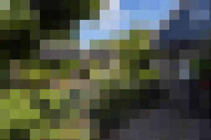 Dooiweg 7 a Amerongen thumbnail 44