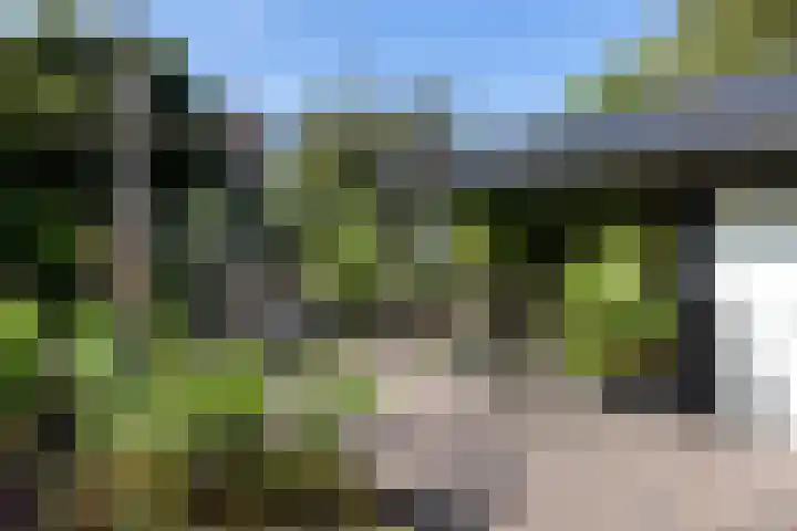 Dooiweg 7 a Amerongen thumbnail 45