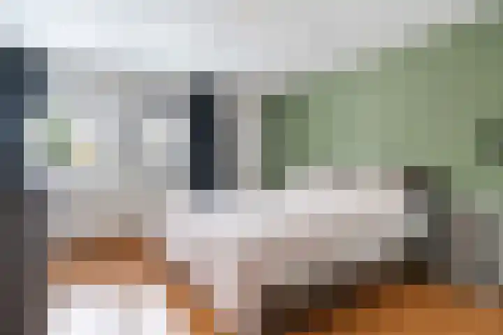 Doolandweg 10 Bladel thumbnail 16