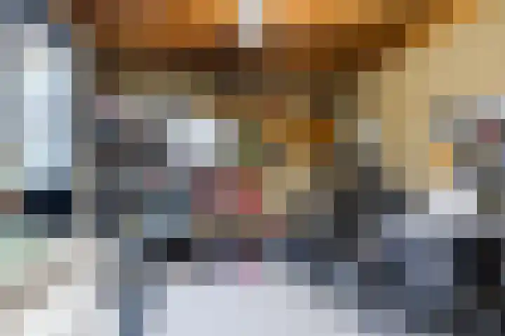 Doolandweg 10 Bladel thumbnail 6