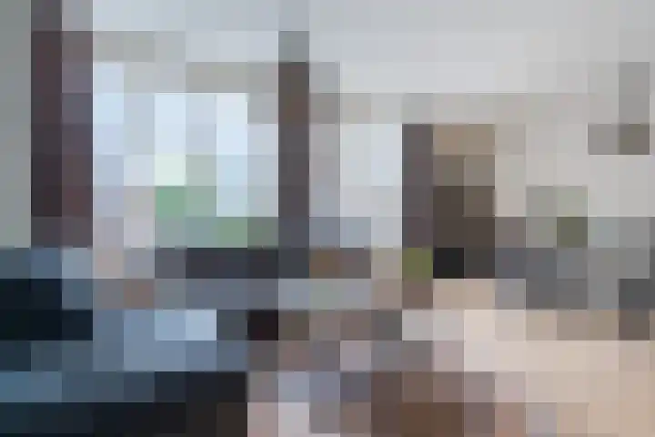Doolandweg 10 Bladel thumbnail 9