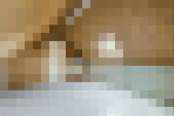 Doolandweg 38 Bladel thumbnail 22
