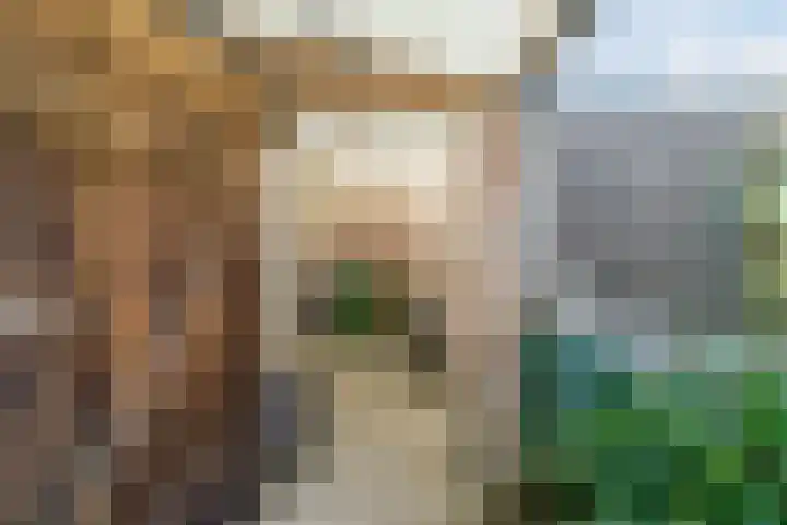 Doolandweg 38 Bladel thumbnail 27