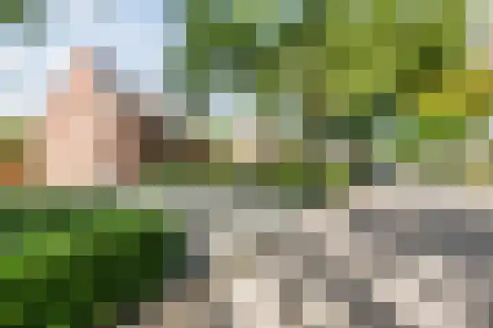 Doolandweg 38 Bladel thumbnail 29