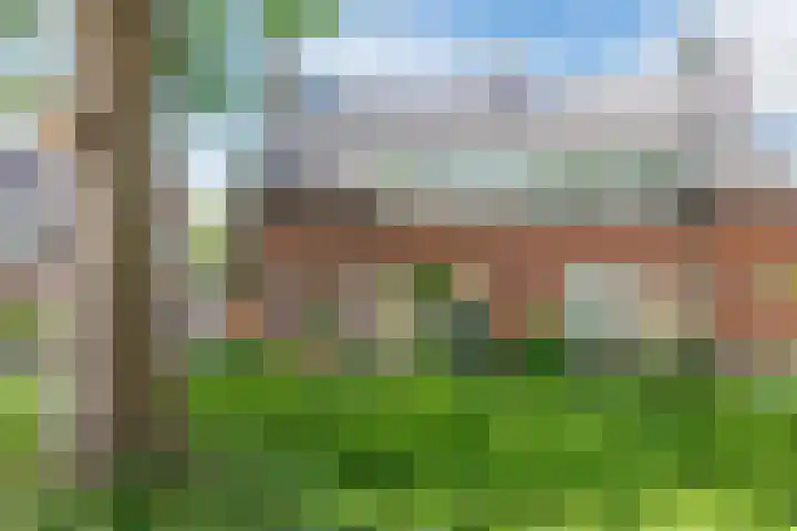 Doolandweg 38 Bladel thumbnail 31