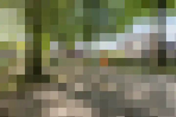 Doolandweg 38 Bladel thumbnail 32