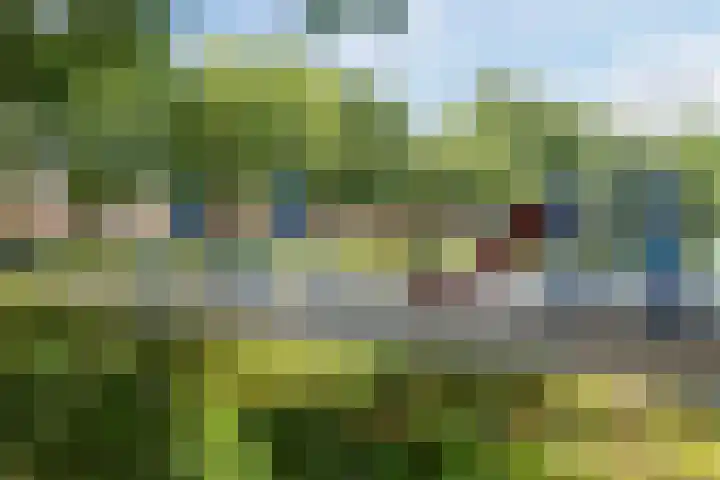 Doolandweg 38 Bladel thumbnail 33