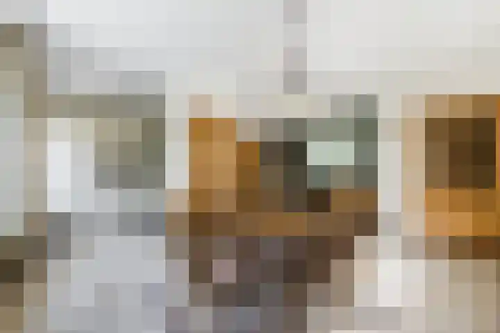Doolandweg 38 Bladel thumbnail 8