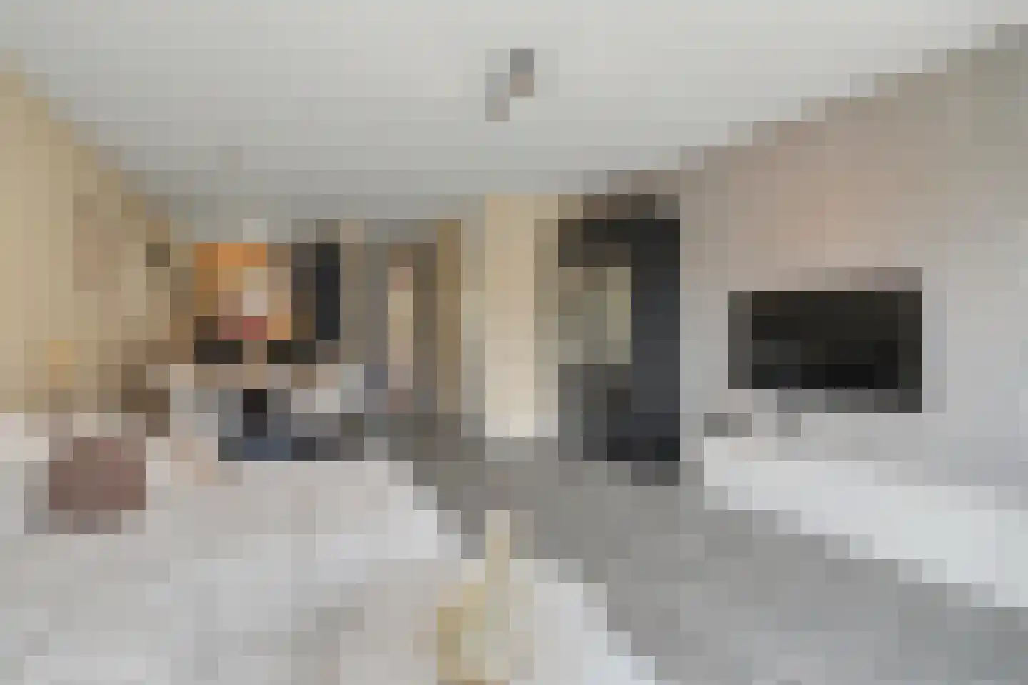Dooleg 24 Reusel thumbnail 10