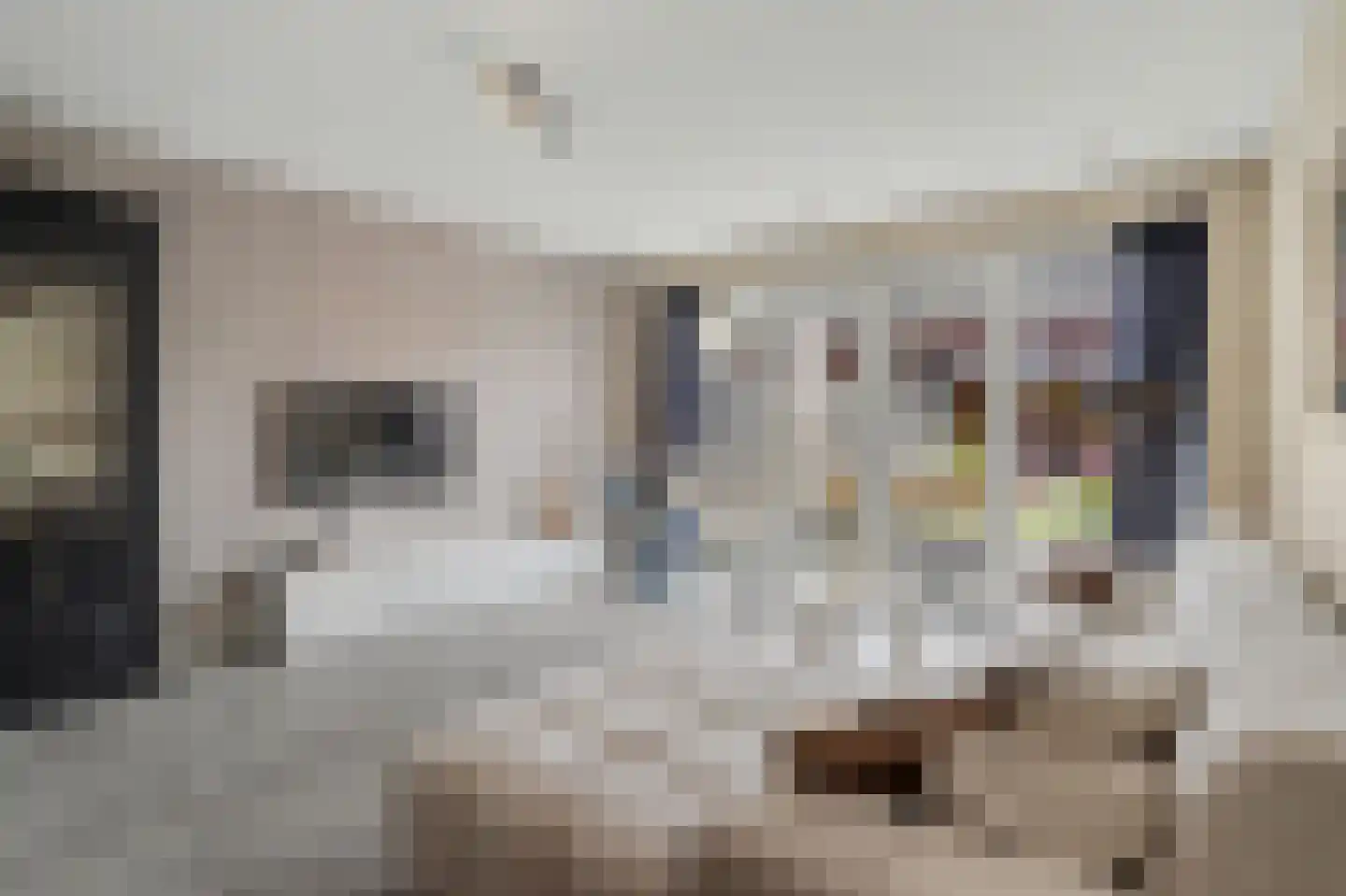Dooleg 24 Reusel thumbnail 11