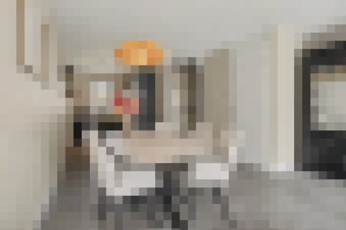 Dooleg 24 Reusel thumbnail 13