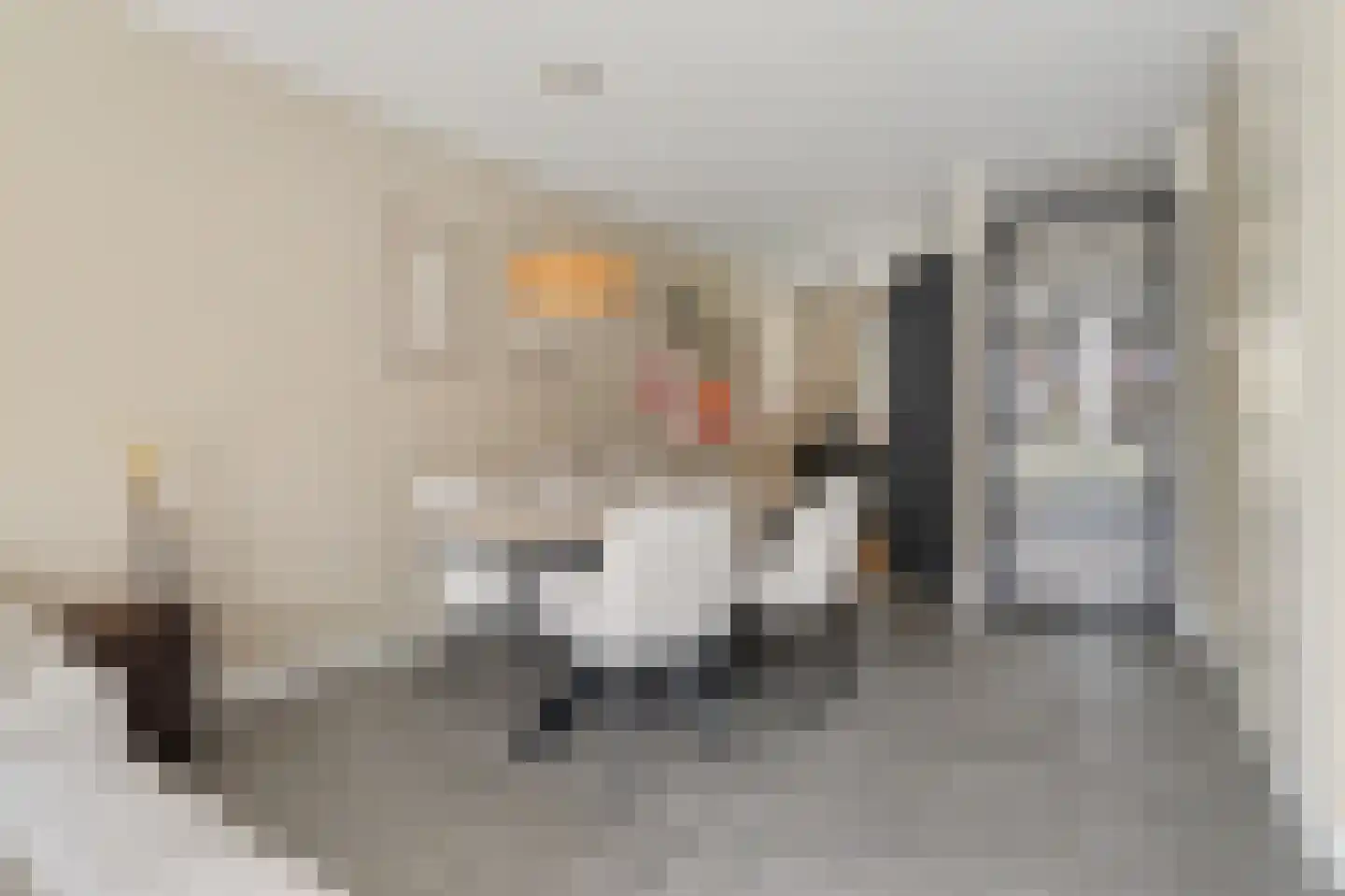 Dooleg 24 Reusel thumbnail 14