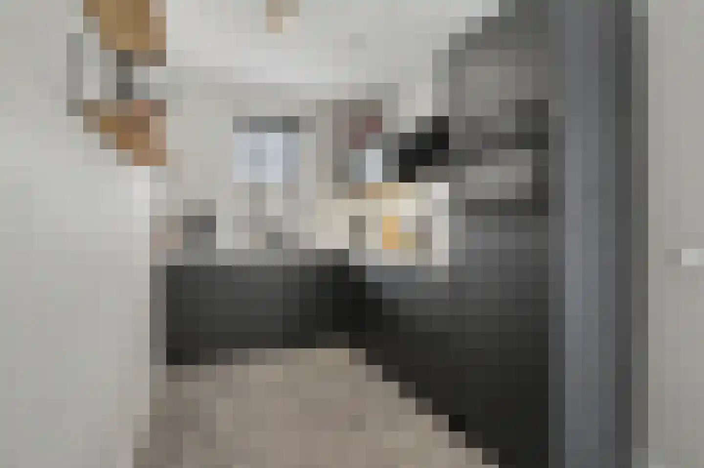 Dooleg 24 Reusel thumbnail 16