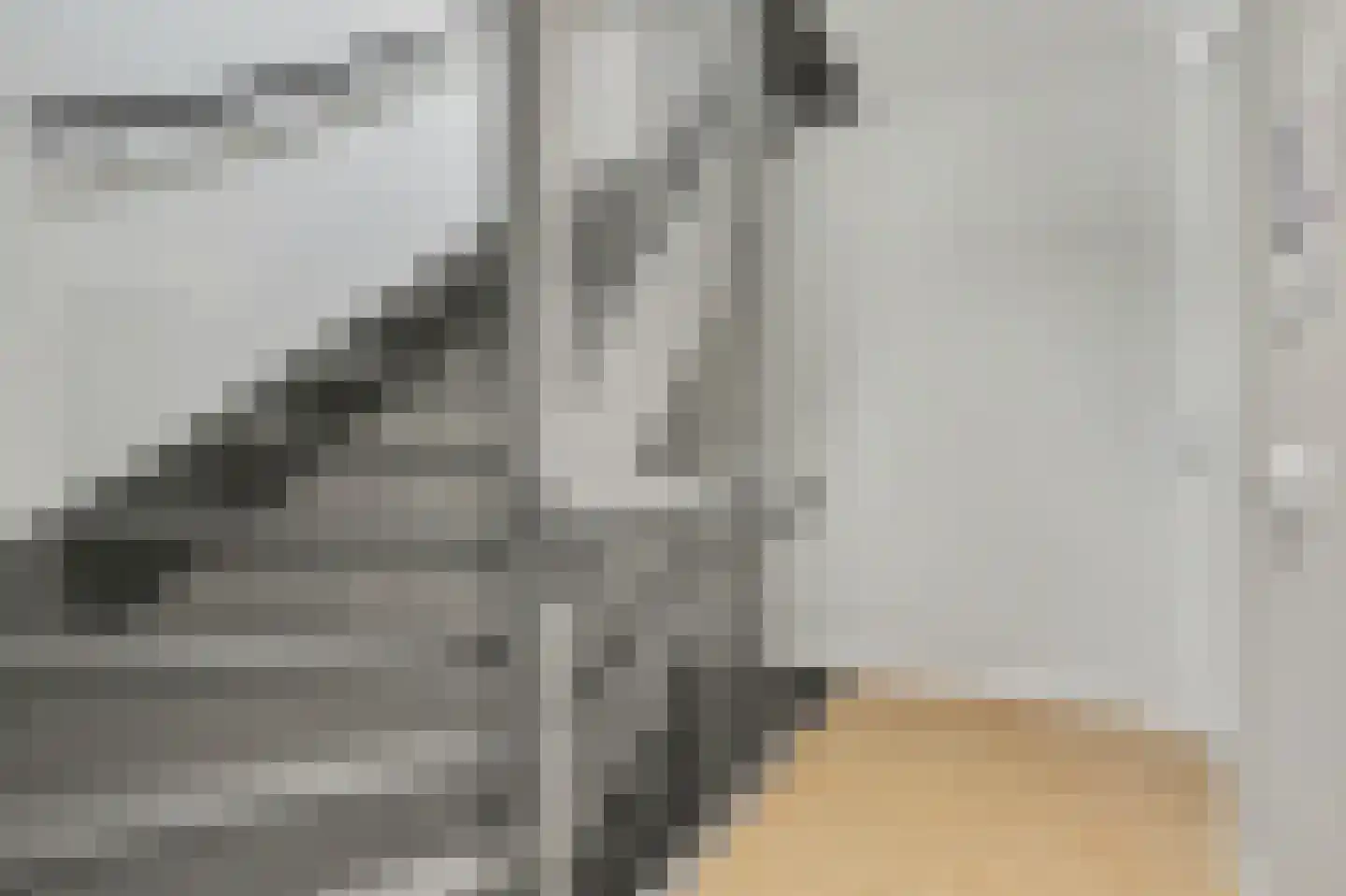Dooleg 24 Reusel thumbnail 19