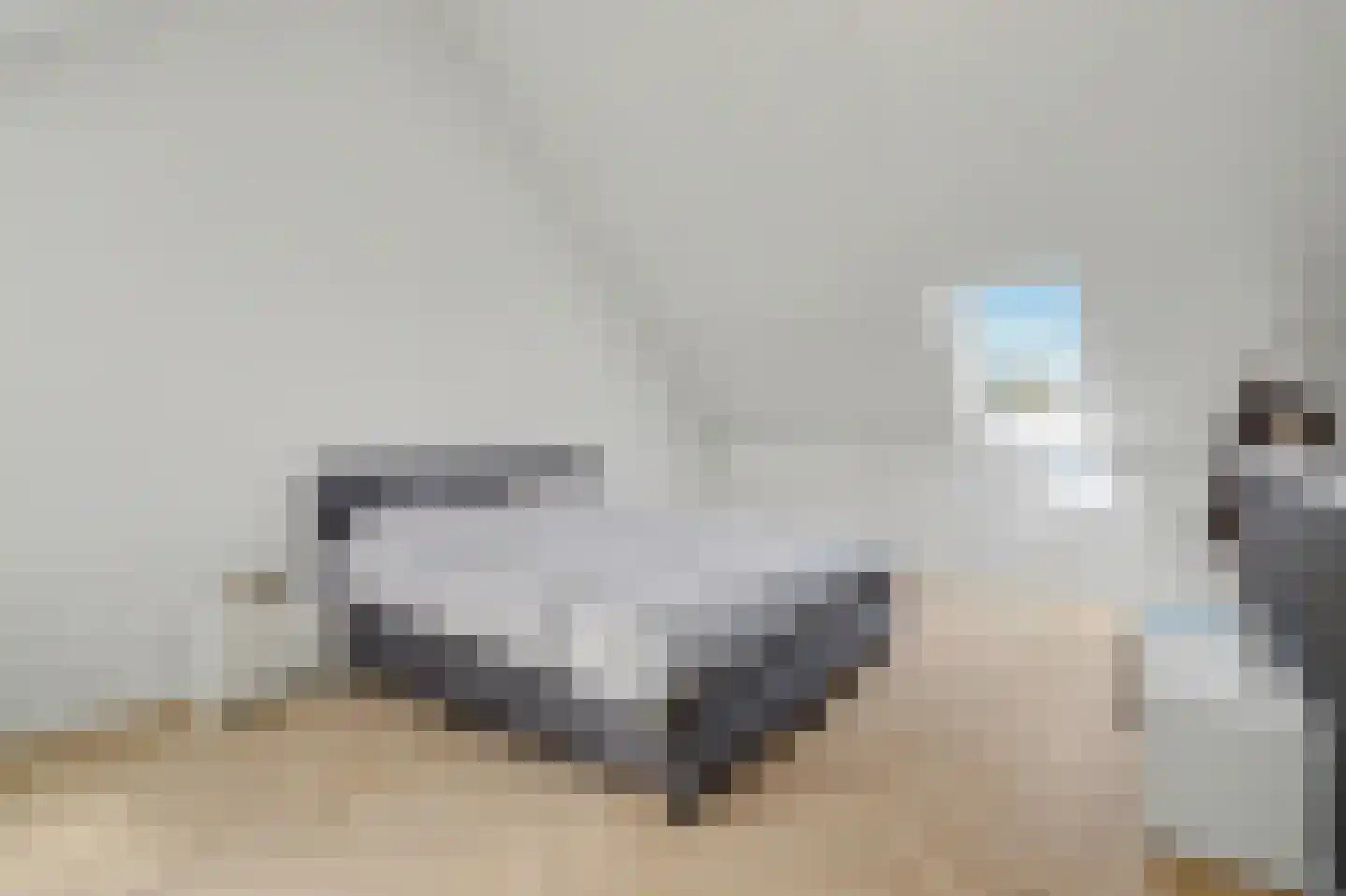 Dooleg 24 Reusel thumbnail 25