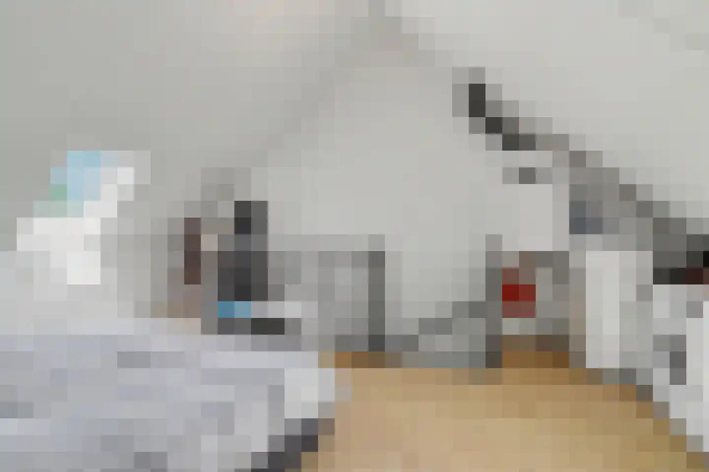 Dooleg 24 Reusel thumbnail 26