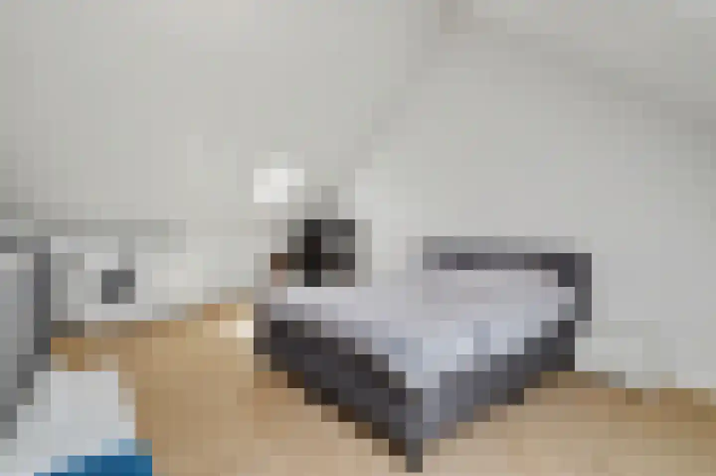 Dooleg 24 Reusel thumbnail 27
