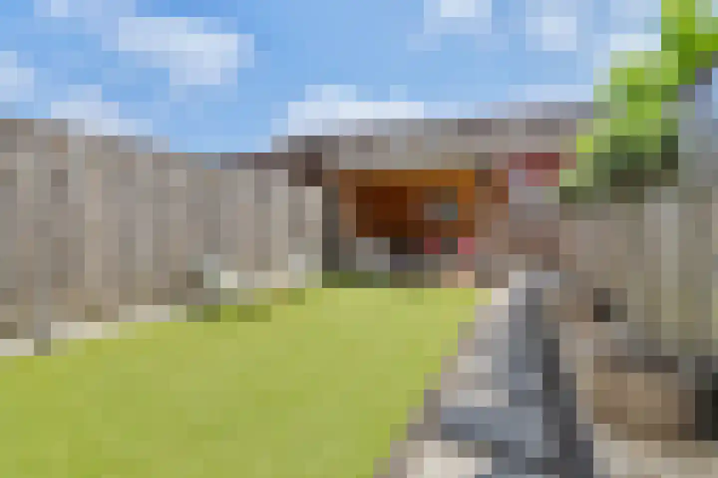 Dooleg 24 Reusel thumbnail 30