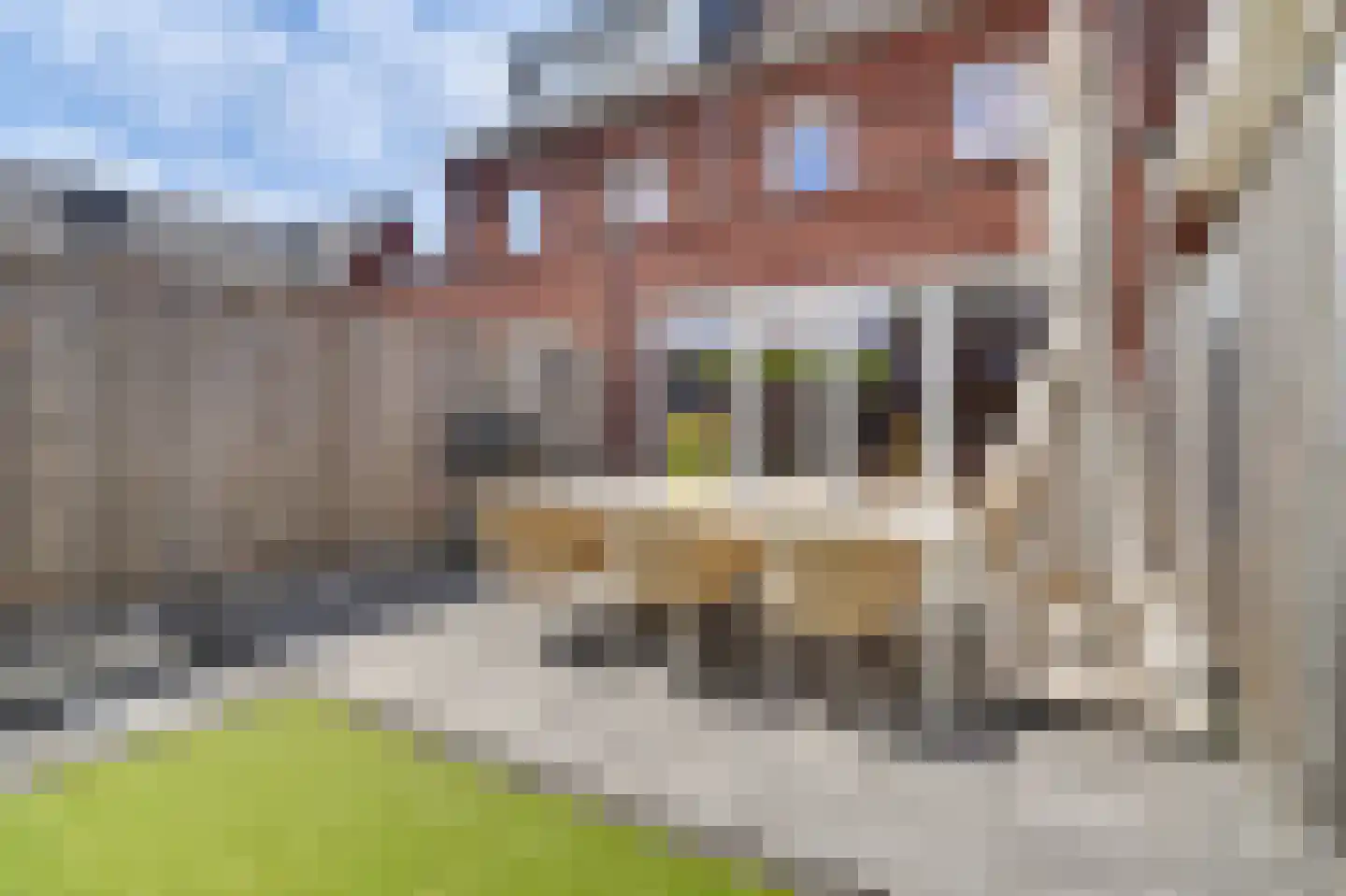 Dooleg 24 Reusel thumbnail 32