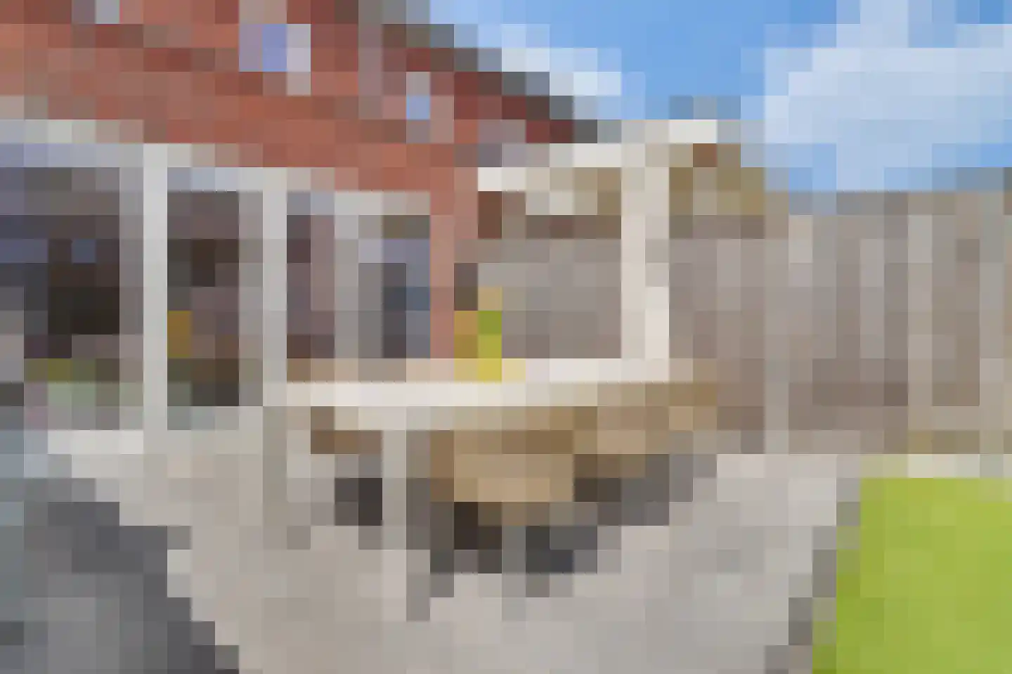 Dooleg 24 Reusel thumbnail 33
