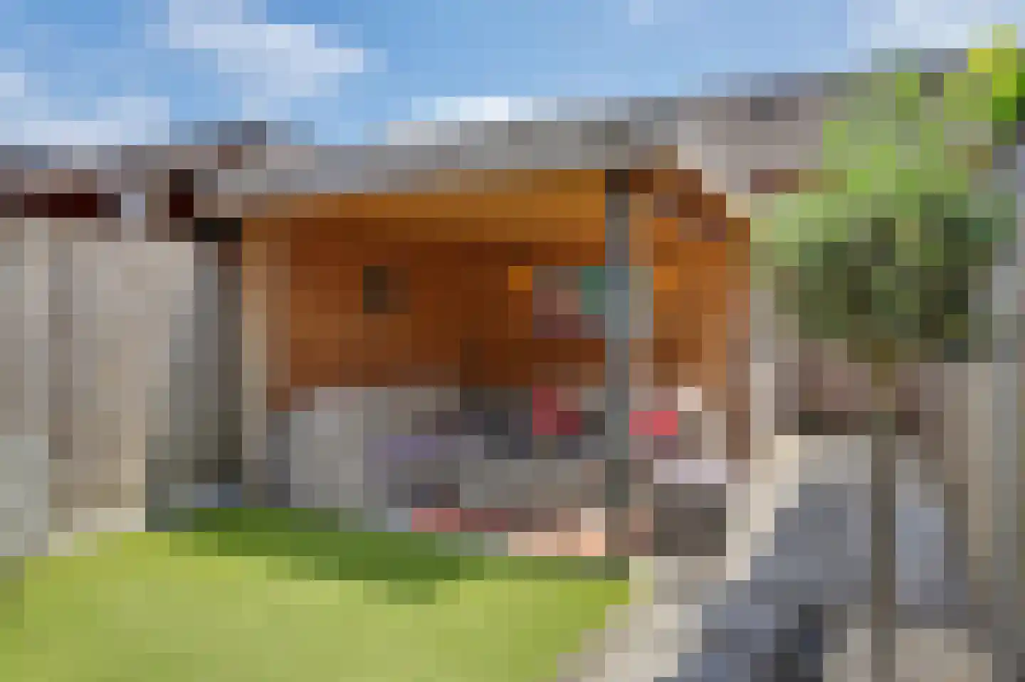 Dooleg 24 Reusel thumbnail 34