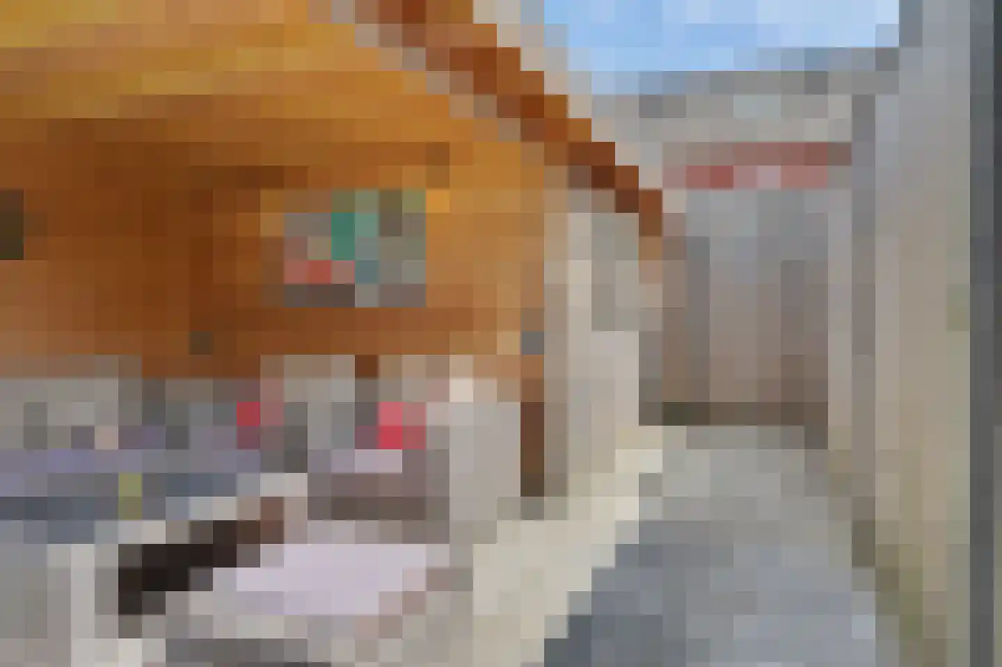 Dooleg 24 Reusel thumbnail 35