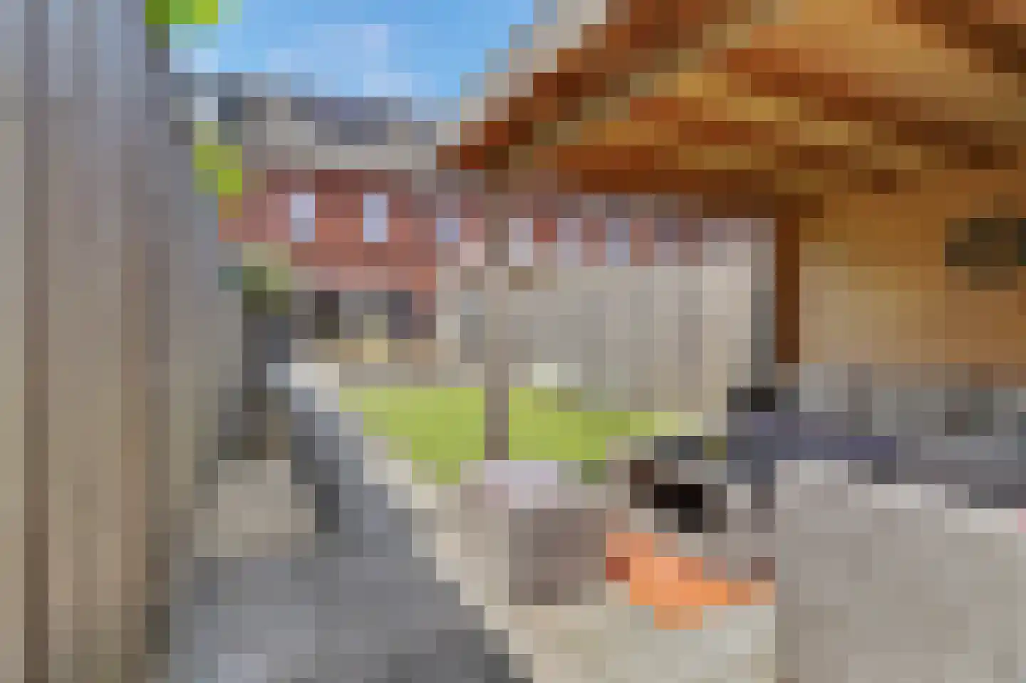 Dooleg 24 Reusel thumbnail 36