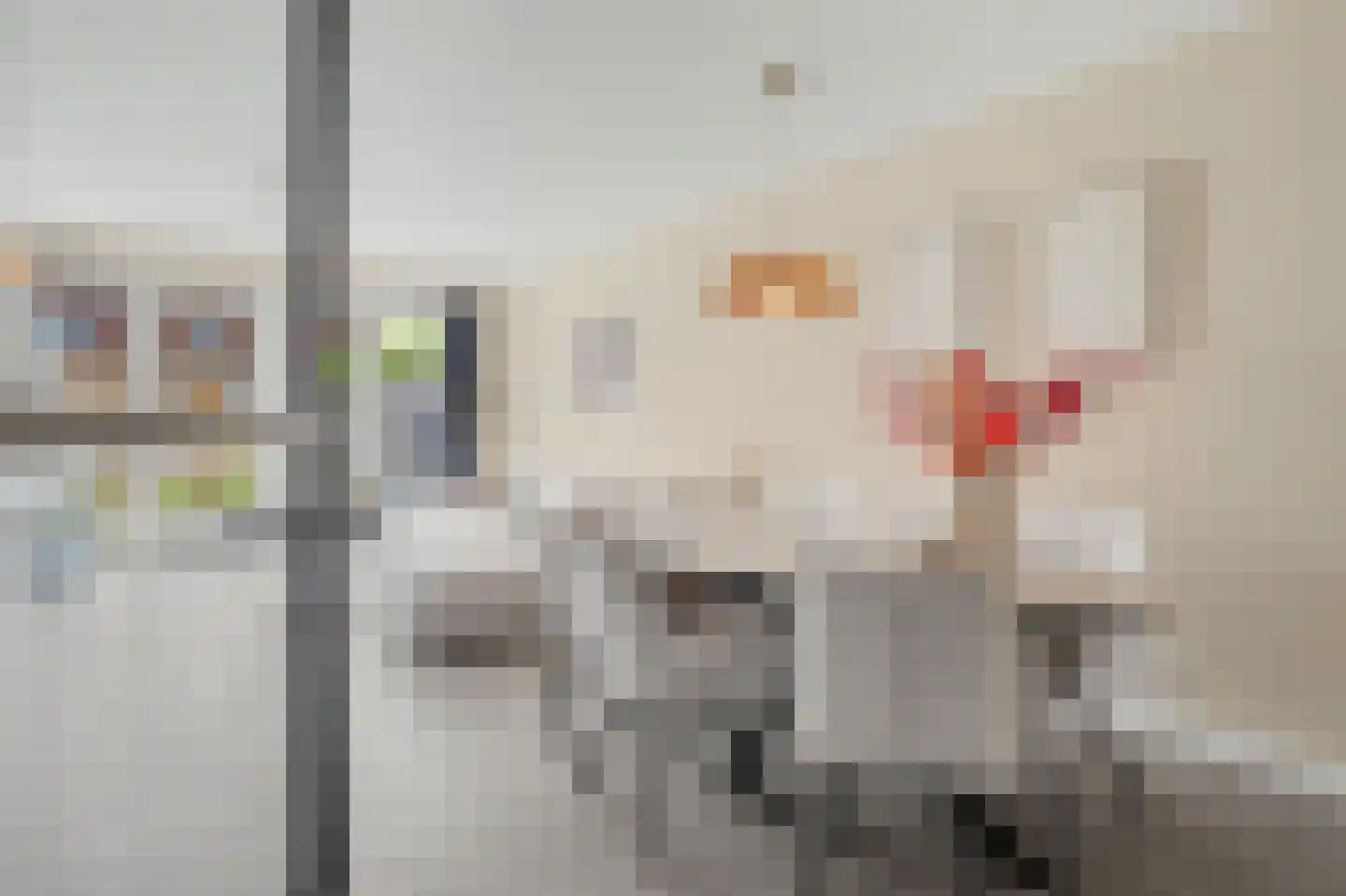 Dooleg 24 Reusel thumbnail 7