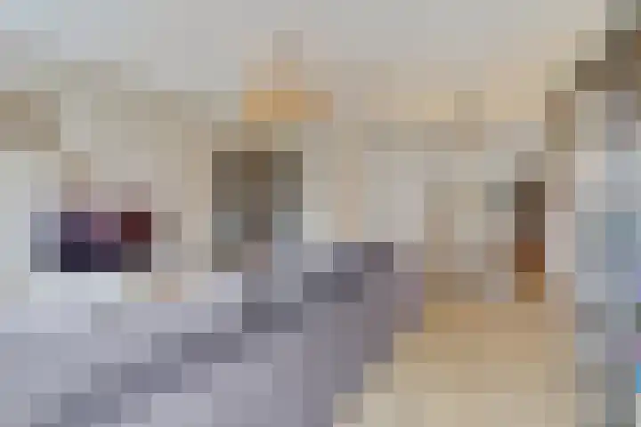 Dooleg 26 Reusel thumbnail 10