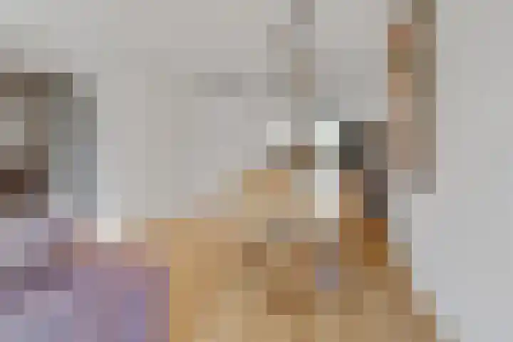 Dooleg 26 Reusel thumbnail 11