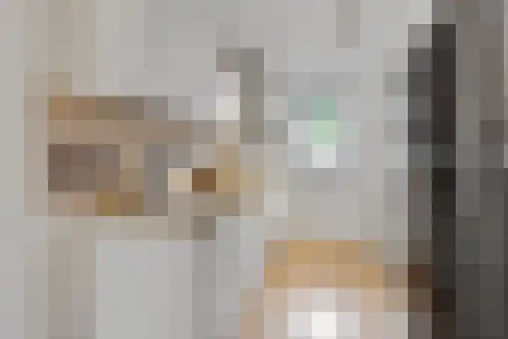 Dooleg 26 Reusel thumbnail 16