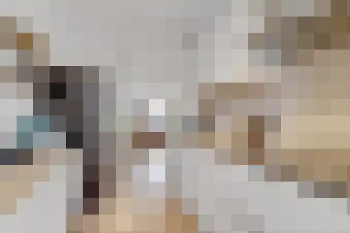 Dooleg 26 Reusel thumbnail 19